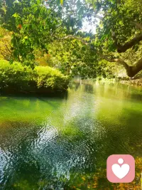 ??真正的逆襲，都是從“不要臉”開始的。你不敢推銷自己，總有人敢；你不敢談薪資，總有人開口；你怕失敗丟人，別人早已在失敗中趟出了路。

??臉皮薄的人永遠在準備，臉皮厚的人永遠在行動。這世道，從來不會因為你的“懂事”而多給你一分溫柔。

??家底薄不是你的錯，但若帶著窮人家的思維闖社會，就是給自己設限。

??父母教你的謙遜是美德，但生存需要你長出獠牙。你可以保持善良，但必須帶點鋒芒；你可以尊重規則，但更要學會打破規則。配圖