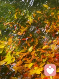 ??多發展一點愛好吧，閱讀啊養寵物啊做飯聽音樂什么的，如果你的生活只有工作，亦或是只有愛情，那么在這條路上遇到任何一個挫折你就會覺得人生沒有希望了，試著多給自己的人生添加一些支點，那是在面對挫折和不如意的時候，仍然能夠把你托住的東西。配圖