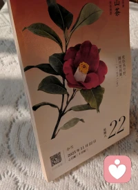 ??2025年的日歷只剩下這么薄薄的一沓。這一年你過得還好嘛？??配圖