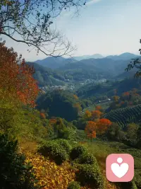 歲月極美，在于它必然的流逝。配圖