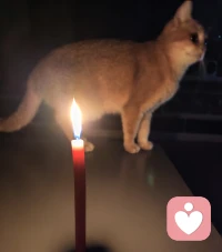 ??停電了，那就吃一頓燭光晚餐或夜宵，有何不可。換個角度，煩惱就變成了浪漫。
??其實走著走著你會發現，這個世界沒有別人，只有你自己。當你內心的一切戰爭停止，外在的硝煙自然會散去。你與自己達成了和平協議，整個世界都會成為你的盟友。
??這是一條漫長的修行之路，但每一步，都通向更廣闊的自由。晚安??配圖