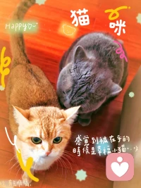 ??可能你無法一夜之間治愈多年的創(chuàng)傷，但請記住：不需要一下子變好，只要每一次覺察、每一次停頓、每一次選擇不同，就是在重建人生。早安??配圖