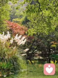 這個季節(jié)的太子灣，美極了。曬太陽，和大自然做鏈接，都是特別好的療愈方式。??配圖