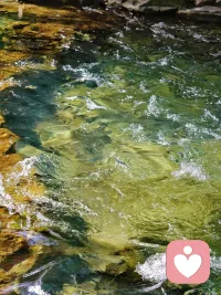 這個季節(jié)的太子灣，美極了。曬太陽，和大自然做鏈接，都是特別好的療愈方式。??配圖