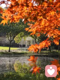 這個季節(jié)的太子灣，美極了。曬太陽，和大自然做鏈接，都是特別好的療愈方式。??配圖