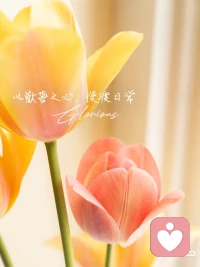 ??凡是讓你緊繃、心慌、胸悶、胃堵、頭痛的事，不管理由多漂亮，都是錯(cuò)的。
??凡是讓你輕松、開心、心里暖暖的、能呼吸得更順暢的事，不管別人怎么看，都是對(duì)的。配圖