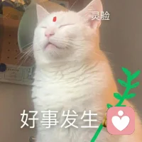 ??真正的社交高手，不是每個場合都熱情，而是知道自己的存在不靠社交維系，而靠自我價值支撐。晚上好。??配圖