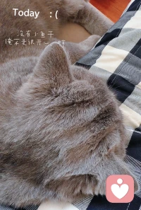 ??真正的主體性，是當別人懷疑你時，你能平靜地說：“謝謝你的反饋，我理解你的擔心。”然后，繼續做自己該做的事。
??當你不再被他人的聲音牽著走，你才真正成為自己人生的主角。配圖