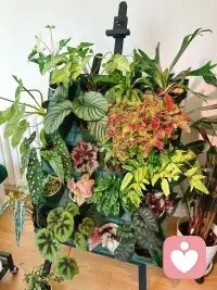 ??人生的意義或許并不總以宏大的形式顯現。它有時會藏在微小而真實的瞬間：一杯清晨的咖啡散發的香氣，陌生人一個善意的微笑，完成一件小事后的滿足感。這些看似平凡的片段，其實都是意義輕柔的呼吸。
??心理學中的“存在真空”理論告訴我們，對意義的質疑恰恰是尋找更深層價值的開始。就像四季輪回，人生也有它的節奏——意義并非恒定不變的光芒，而更像潮汐，有時高漲，有時退卻，卻從未真正消失。配圖