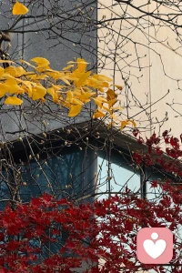 ??人類的悲喜并不相通。——魯迅
??真正的溫暖不在于我們擁有相同體溫，而在于我們在知曉彼此溫差后，依然選擇靠近。人類的悲喜在血液中并不相連，卻在傾聽的空氣中短暫交織，這或許已是我們在孤獨星球上能創造的最珍貴的相遇。配圖