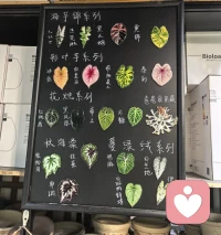 ??人一生都在跟自己和解。
??心理健康并非沒有沖突，而是增強了內心容納沖突的能力。它是一個持續的過程，是從一個被內在沖突撕裂、被未知力量控制的“陌生人”，逐漸走向一個更完整、更真實、更能主宰自己生命的“自己”的旅程。
??最終，和解意味著：你不再需要耗費巨大的能量去壓抑、偽裝或戰斗，而是可以將這些能量，用于去愛、去創造、去體驗生命本身。最終抵達一種深刻的自我認知，以及與內在世界達成的、充滿生命力的和平。