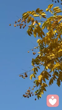 你怎么想，結果就是怎么樣，千萬不要小看“心想事成”這四個字。   —曾仕強 ? ???