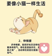 ??像小貓一樣生活??