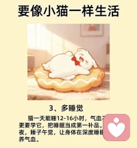 ??像小貓一樣生活??