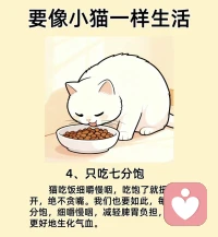 ??像小貓一樣生活??