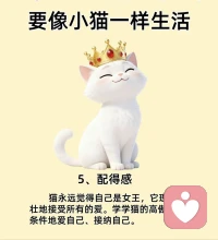 ??像小貓一樣生活??