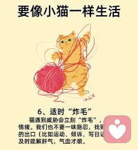 ??像小貓一樣生活??