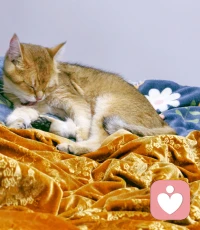 如果今天陰天，那就做自己的小太陽吧。早安。??