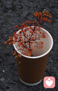 ❤️“人活着，总得有点闲情。
看点花，喝点茶，读点没用的书，发个呆，做一杯咖啡，那些不图功利的时刻，才藏着生活的真滋味。”
🌱 那些“无用”的当下，藏着生活的温度。
我们总在追逐“有用”的事，
却忘了，
生活的温暖，
恰恰藏在那些“无用”的瞬间里。
​