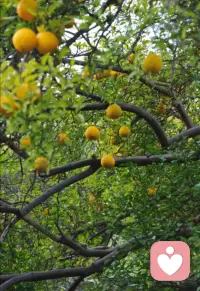 ❤️心理健康、适应社会的人，通常掌握了一种平衡的归因方式：
❤️· 成功时：适当向内归因（肯定自己的努力和能力），同时感恩外部支持（运气、他人帮助）。
❤️· 失败时：能理性分析，区分哪些是自己的责任（比如“我准备不足”），哪些是外部不可控因素（比如“市场突然变化”），从而有针对性地改进，而不陷入全面的自我否定。配图