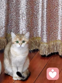 ??早安，學會捕捉生活中的“小確幸”。
??“小確幸”這個詞的第一次出現，是在作家村上春樹的一篇散文中。它的意思是，雖然欲望本身并不龐大，但只要能讓人確確實實地感覺得到，哪怕真的是微不足道，也足以讓人把日子好好地過下去。??配圖