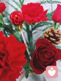 ❤️我们总以为，健康靠的是饮食、运动、早睡早起。却常常忽略了，亲密关系，其实才是最深层的“营养”。一段安心的陪伴，一个能让你放松入眠的人，比任何保健品都更有治愈力。