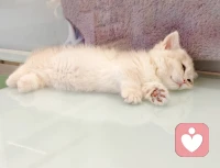 一些看了会让人觉得很暖的画面，情不自禁嘴角上扬。新的一周开始了，加油哦。❤️配图