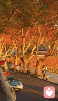 ❤️每天都要给自己安利一句话：我命那么好，自然值得拥有最好的一切。
❤️要有心安理得的配得感，也要大大方方接受它。配图