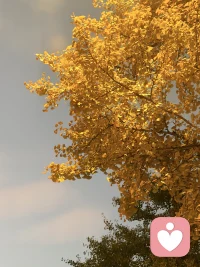 ❤️这一年 遇见了嘛 失去了吧 有获得吧 
❤️成长了嘛 释怀了吧 完结了吧
      ❤️ 愿与旧事归于尽 
      ❤️ 来年依旧迎花开配图