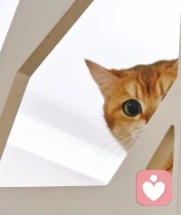 ❤️“不要做一个道德感太强的人”，并非教人作恶，而是提醒我们别被“完美道德”绑架。
❤️真正的成熟，是建立一套复杂而灵活的道德算法：坚守核心底线，但在策略层面保持弹性。这是一种深刻的自爱，也是成事者的必备格局。配图