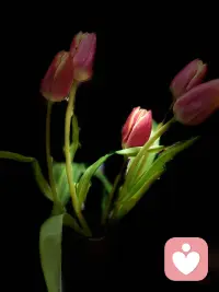 ♥️你不必等“崩溃了”才求助——这里永远有个位置留给你。
♥️我知道敲门需要多大勇气。
那些说不清的疲惫、突然涌上的泪意、对着人群却感到疏离的瞬间……都值得被认真倾听。
♥️咨询不是“治病”，而是一场：
✨ 对自己温柔的探险。
✨ 把“我为什么总是这样”变成“我可以如何不同”的练习。
✨ 陪你找到暗夜里的光，甚至学会自己发光的过程。配图