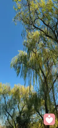 ♥️心理学上，有一种能力叫作“与过去的目标解除连接”。通俗点讲就叫：翻篇。
对于一些不好的事情，能及时喊暂停，解除连接。遇到烂人、烂事，你也不会纠缠，而是能及时翻篇。及时翻篇、止损，就可以停止内耗。配图