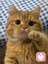 ❤️有趣的灵魂万里挑一。确实，有趣，终究是灵魂对庸常的温柔反抗。
在规则缝隙里种花，在烟火尘世中望月，把有限的人生活成一场无穷尽的、自我定义的审美游戏。早安。❤️配图