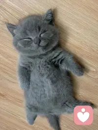 你有你的选择，我有我的坚持。你走，我不会送你，你来，风雨无阻我都会去接你❤️配图