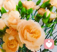 当你坦坦荡荡什么都不想证明的时候，就是足够强大的时候。♥️配图