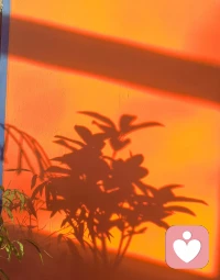 无人帮衬，看似很苦，实则是一种福气，因为以后不用还。之所以很多修行人六亲缘浅，就是因为人家这辈子没有彼此亏欠的人了。 ​​​早安。❤️配图