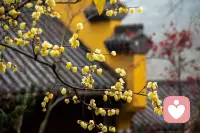 ❤️我不在乎别人背后如何议论我，因为我的自我价值感并不建立在外部的零差评上。但如果让我听到，说明对方想让我听到，目的是为了让我不高兴，那这就是恶意了。
❤️我的交友圈是一个同心圆系统，而不是一座堡垒。同心圆的圆心，是我自己。核心区是极少数能深度对话、几乎无话不谈的人。外一层是那些在某些方面特别合拍的朋友——能一起玩、探讨专业问题、交流心得，彼此提供价值，但不必全方位契合。再外层，是可以共享某个生活片段，但并无深入绑定的需求。
❤️所以其实我对友谊的纯度要求不太高，并且大多数时候更喜欢独处。配图