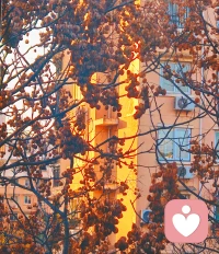 ❤️别想太多，好好生活，
也许日子过着过着就会有答案，
努力走着走着就会有温柔的着落。 ​​​配图