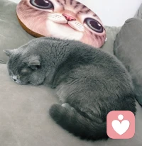 ❤️倾诉是一种非常重要的心理疗愈方式，它不仅仅是“说出来”那么简单，而是一个有意识地将内心积压的情绪、想法和经历向可信任的对象表达的过程。
❤️倾诉的本质，是一种将内心混沌的能量，通过语言和关系，转化为清晰认知和情感的联结。它不仅仅是情绪的宣泄，更是我们作为社会性动物的一种生存智慧——通过分享重负来分担重负，通过暴露脆弱来建立信任，通过梳理过去来面向未来。
❤️允许自己倾诉，是自我关怀的勇敢一步；善于倾听他人，则是赠予他人的一份珍贵礼物。🎁配图