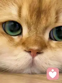 好好吃饭哦，早安。❤️配图