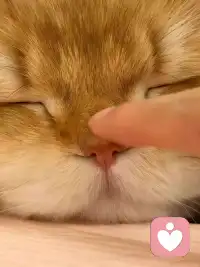 好好吃饭哦，早安。❤️配图