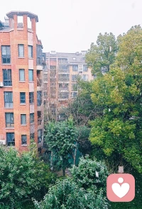 下雪啦！泡一杯热茶赏雪吧。你那里下雪了嘛？❤️配图