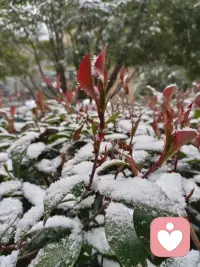 ❤️倾听是一种 “有限度的包容” 或 “有底线的共情”。并不是没有原则和底线的无限度包容。（比如认知偏差等。）
❤️这种既有温度又有原则的倾听，才能真正建立信任、促进疗愈和成长，而不是让倾听者耗竭或让倾诉者陷入更糟的境地。它既是一份礼物，也是一种需要智慧和勇气的艺术。配图