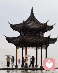 杭州好几年没正经下过雪了，喜欢下了雪的冬天，雪一落就美成了诗。❤️配图