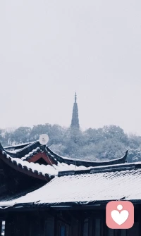 杭州好几年没正经下过雪了，喜欢下了雪的冬天，雪一落就美成了诗。❤️配图