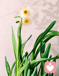 ❤️越是不顺的时候，越是要沉住气。
艰难的路不是谁都有资格走的，
抗得住涅槃之痛，才配得上重生之美。 ​ ​​​​配图