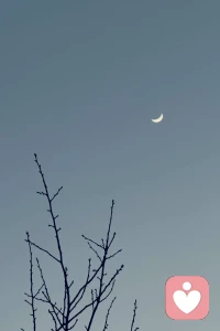 人生不过三万天，烂事趁早就翻篇，生活不在别处，当下即是全部。周末愉快哦。❤️配图