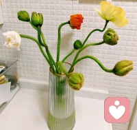 江南无所有，聊赠一枝春。早上好。❤️新的一周开始了，加油！配图