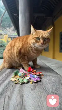 想不起来的人和事，一律归结为不重要，别给自己和对方加戏、找借口。活着已经很艰难了，为什么还要找不开心和不痛快呢，对吧！配图