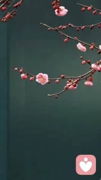 不要把孩子限制在你的认知里
因为他们
生在另一个时代
你看着他跌跌撞撞
总想伸手去扶
可有些路
注定要他自己去走
时代的风
早已吹向不同的方向
你以为的稳妥
在他眼中也许是束缚
你担心的风险
或许正是他看见更远风景的机会配图